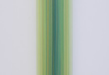 MATHIJS SIEMENS «Colourful complexity»