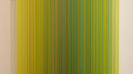 MATHIJS SIEMENS My birds paradise