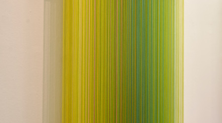 MATHIJS SIEMENS My birds paradise