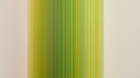 MATHIJS SIEMENS My birds paradise
