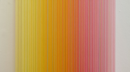 MATHIJS SIEMENS My birds paradise