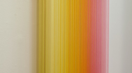 MATHIJS SIEMENS My birds paradise