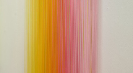 MATHIJS SIEMENS My birds paradise