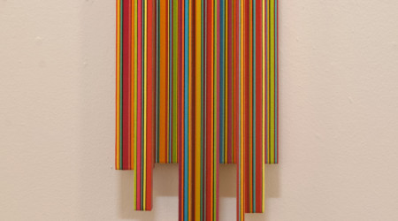 MATHIJS SIEMENS My birds paradise