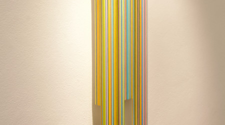 MATHIJS SIEMENS My birds paradise