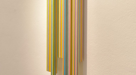 MATHIJS SIEMENS My birds paradise
