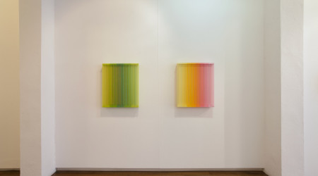 MATHIJS SIEMENS My birds paradise