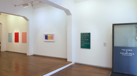 TIM AYRES & AVELINO SALA «La paraula pintada (The painted word)»