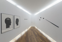 FERNANDO  MEGÍAS «Material sensible»