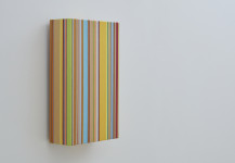 MATHIJS SIEMENS «Colourful complexity»