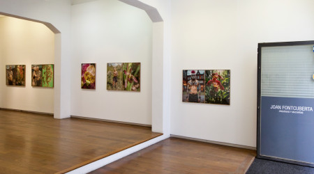 Joan Fontcuberta «Orquídeas y macarras»