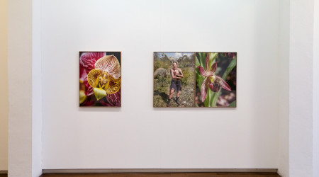 Joan Fontcuberta «Orquídeas y macarras»