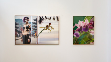 Joan Fontcuberta «Orquídeas y macarras»
