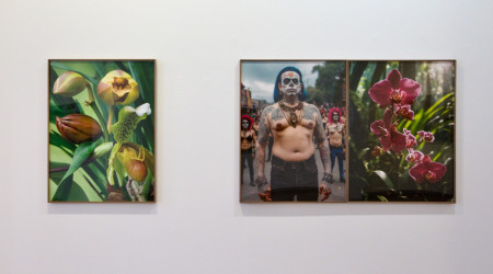 Joan Fontcuberta «Orquídeas y macarras»