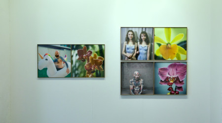 Joan Fontcuberta «Orquídeas y macarras»