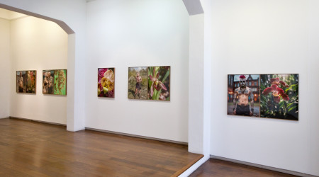 Joan Fontcuberta «Orquídeas y macarras»