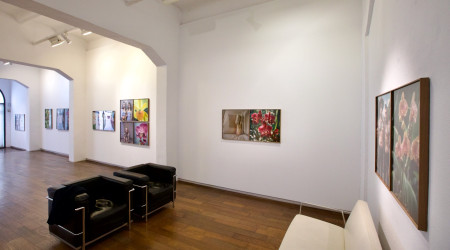 Joan Fontcuberta «Orquídeas y macarras»